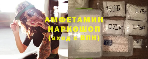 гидра Богородицк