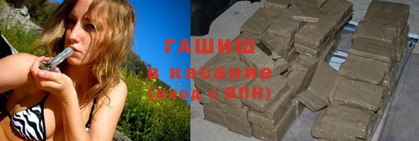 гидра Богородицк