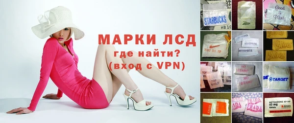 гидра Богородицк