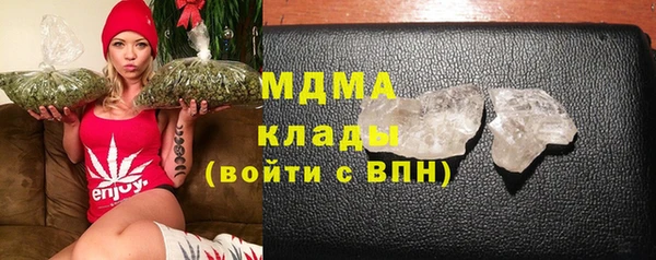 гидра Богородицк