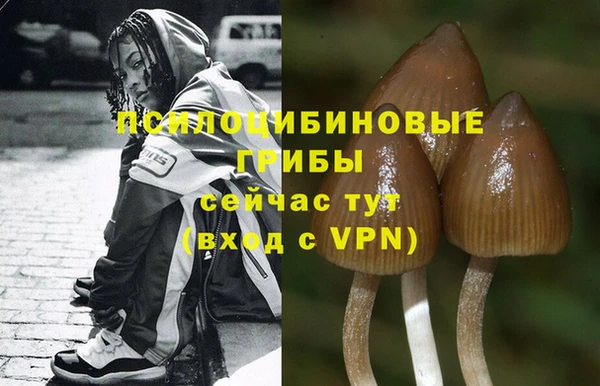 гидра Богородицк