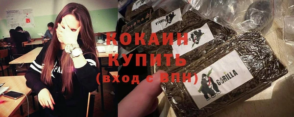 гидра Богородицк