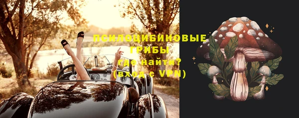 бутират Бородино